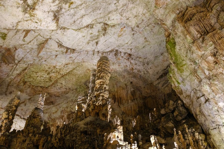 A column in the karst