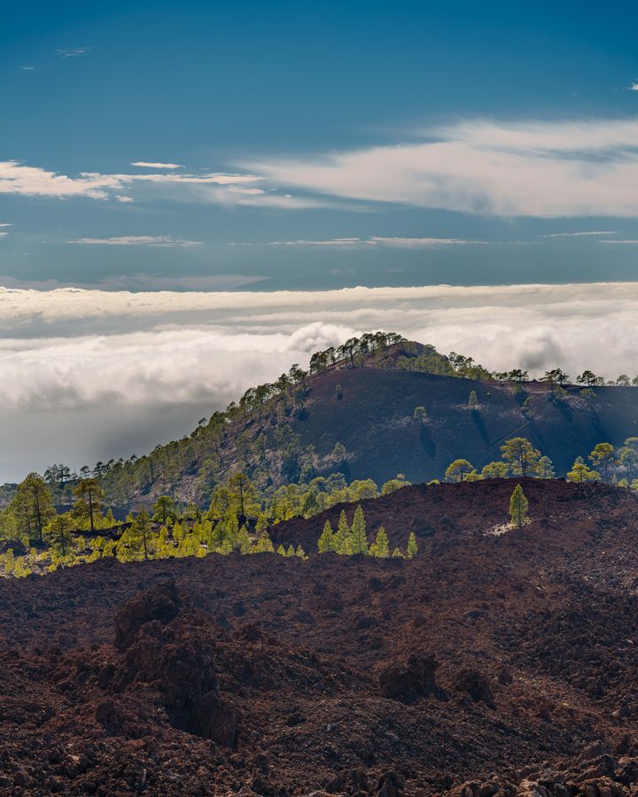 Above the clouds