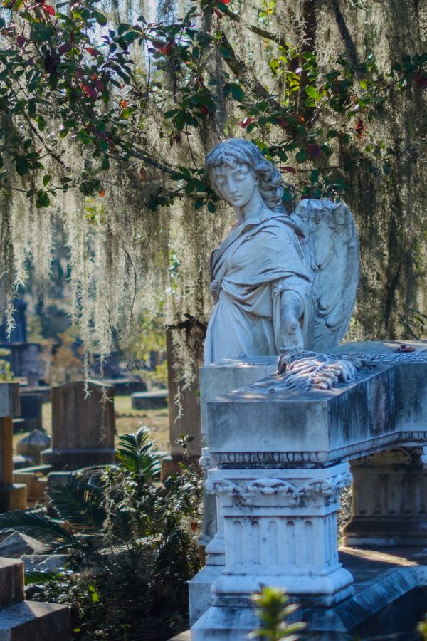 An angel at Bonaventure