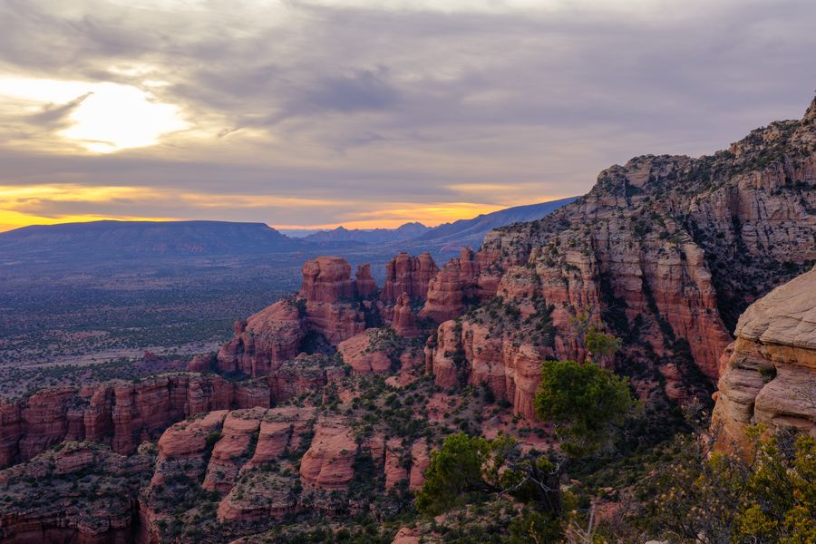 Butte and yucca, sunset