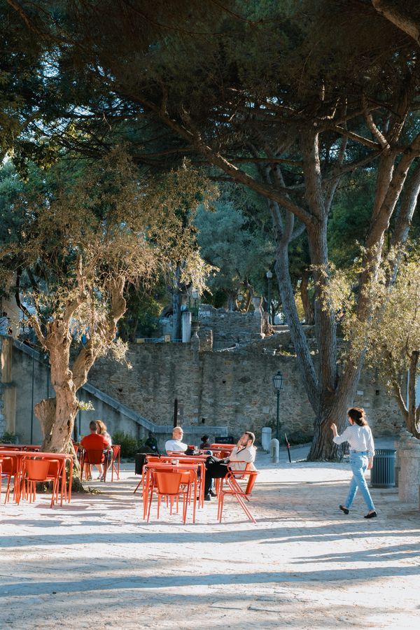 Café under the pines