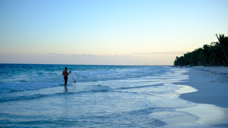 Casting a net