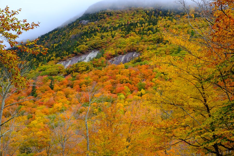 Cloud on the ridge
