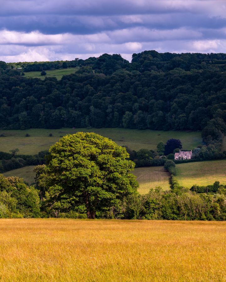 Cotswolds valley