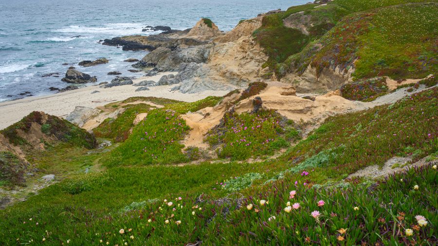 Cove below the bluffs