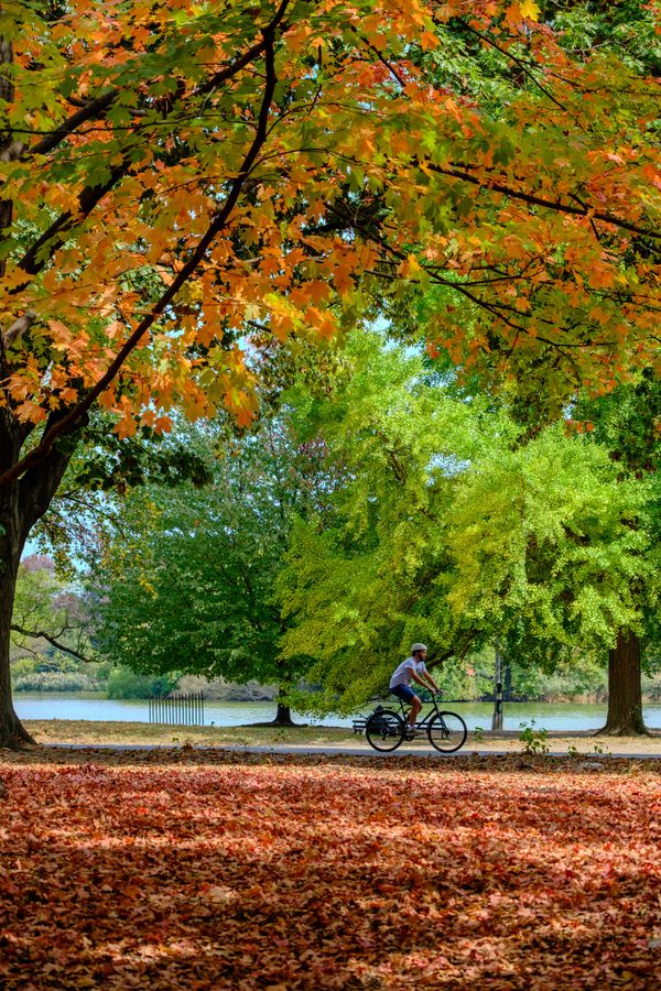 Cycling the lake path
