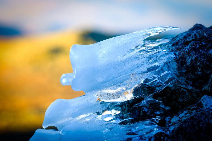 Ice at dawn