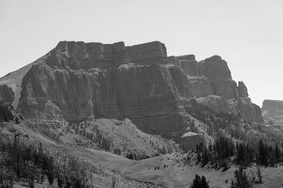 Limestone escarpment