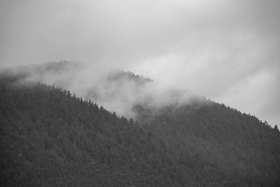 Mist off the ridge