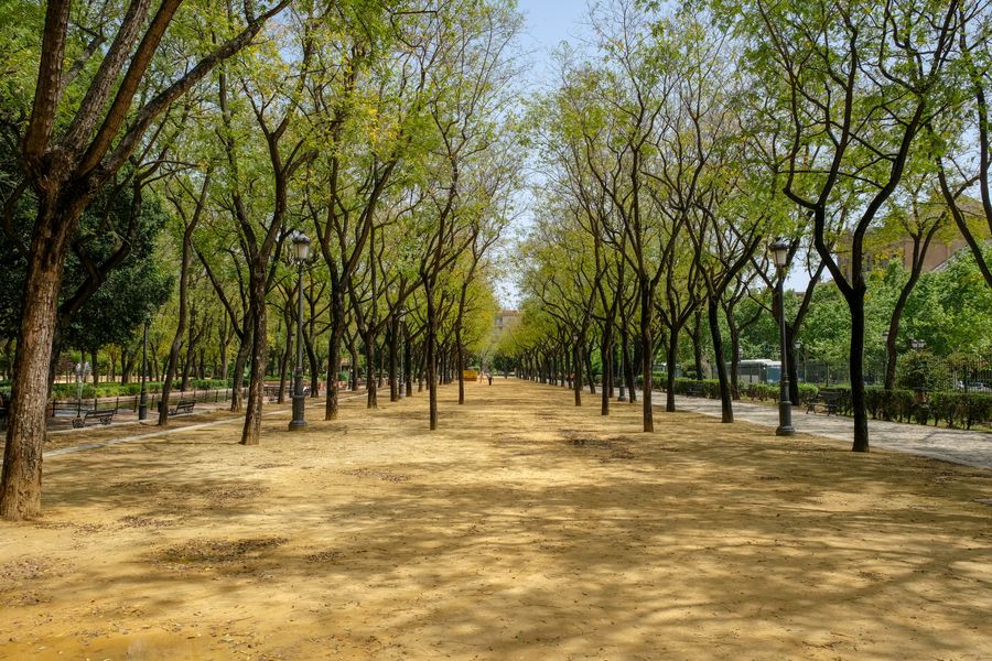 Parque de Maria Luisa