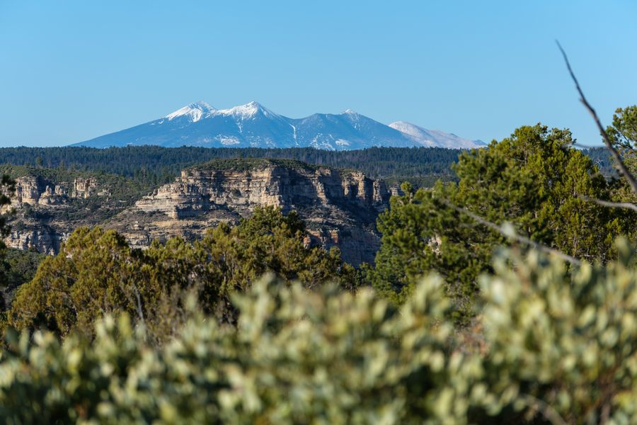 Rimrock above the forest