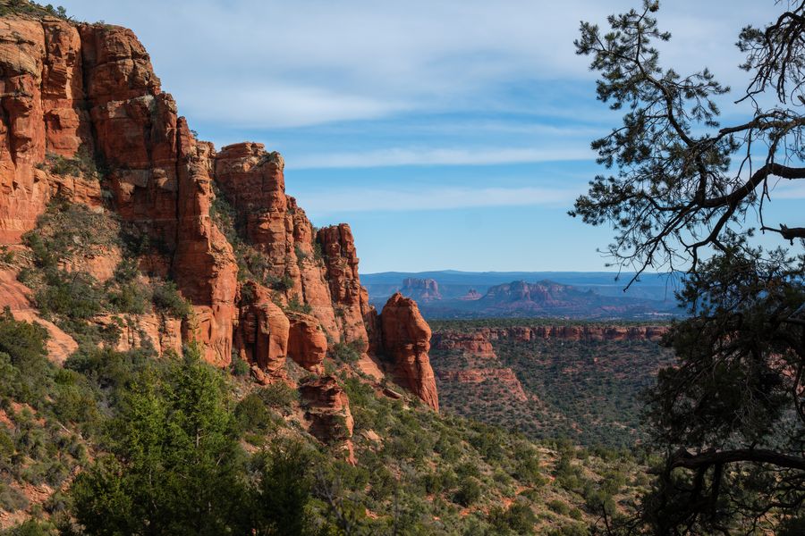 Slickrock and pines