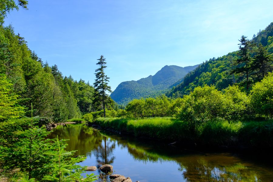 The Ausable, upstream