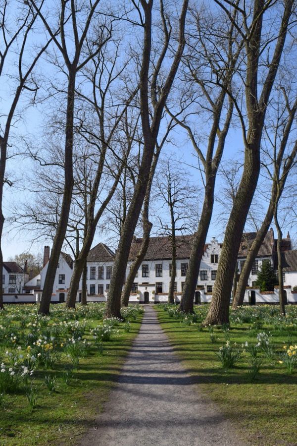 The Beguinage in spring