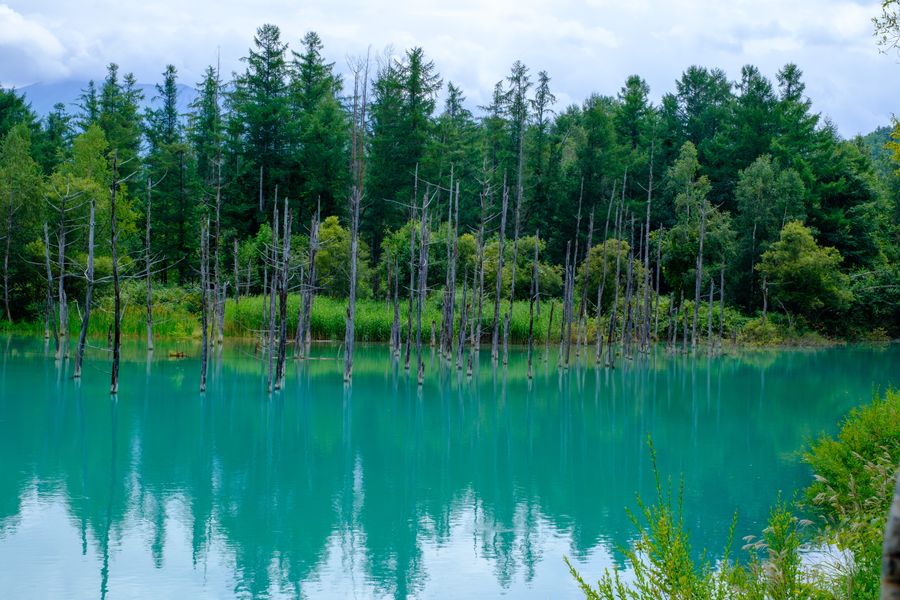 The Blue Pond