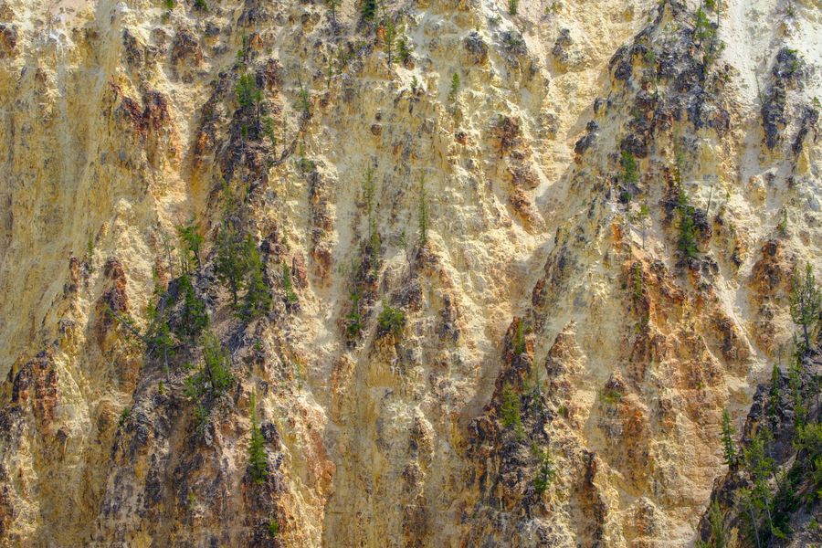 The canyon wall