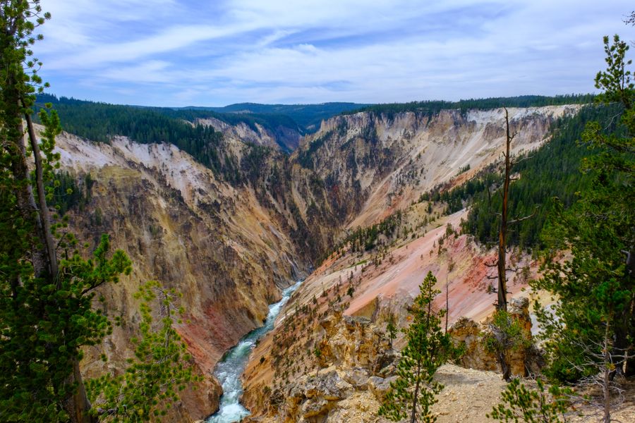 The Grand Canyon of the Yellowstone