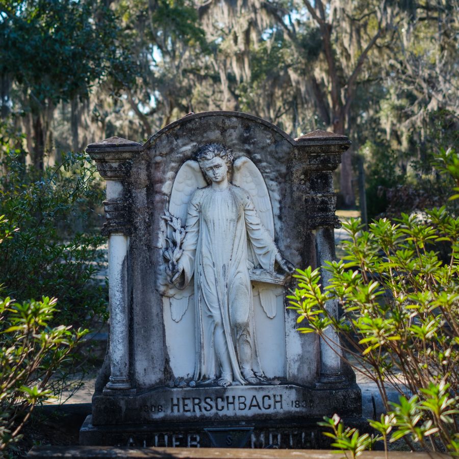The Herschbach angel, Bonaventure Cemetery