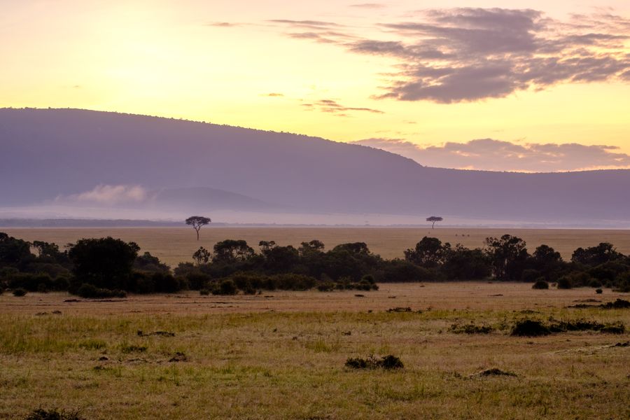 The Mara at dawn