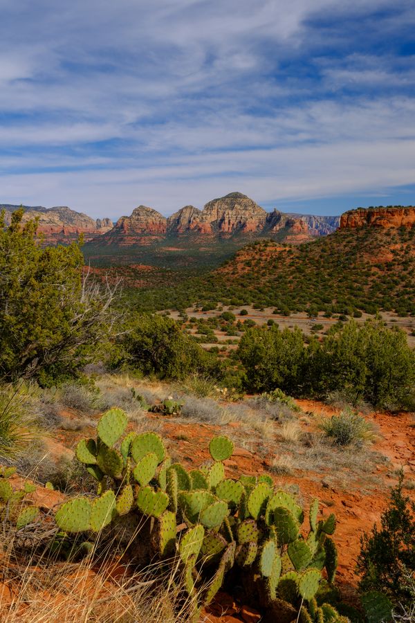 The San Francisco Peaks, from Sedona