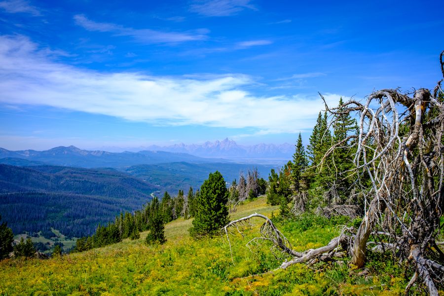 The Tetons from the east