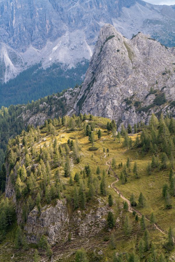 Trail below the pinnacle