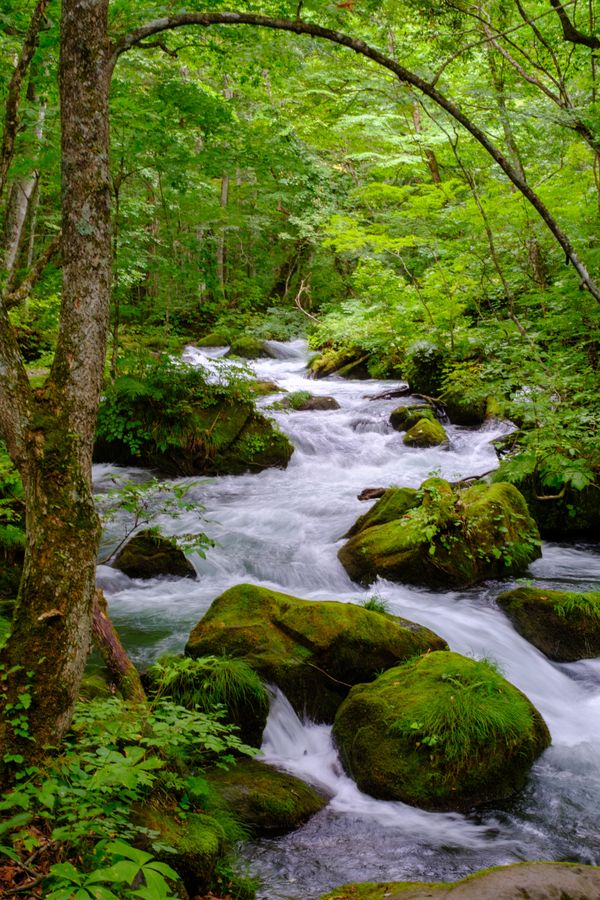 Upstream at Iwasuge Falls