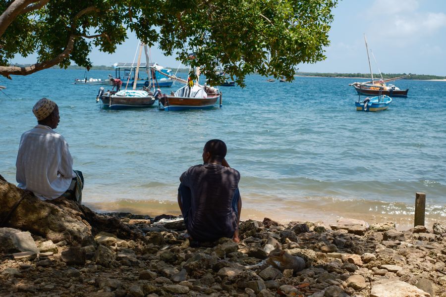 Watching the dhows